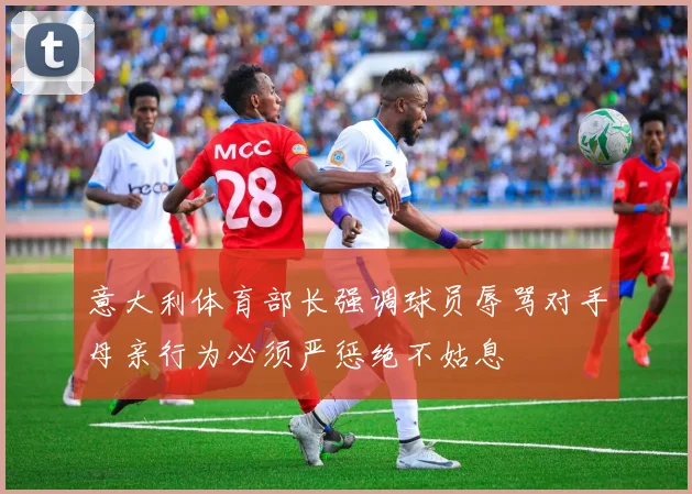 意大利体育部长强调球员辱骂对手母亲行为必须严惩绝不姑息