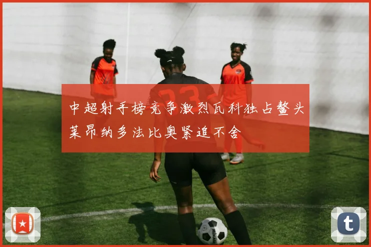 中超射手榜竞争激烈瓦科独占鳌头莱昂纳多法比奥紧追不舍