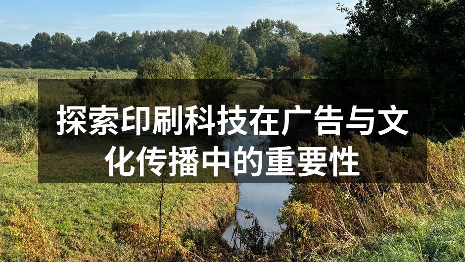 高质量印刷广告示例