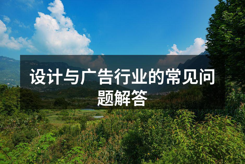 设计师在讨论项目创意