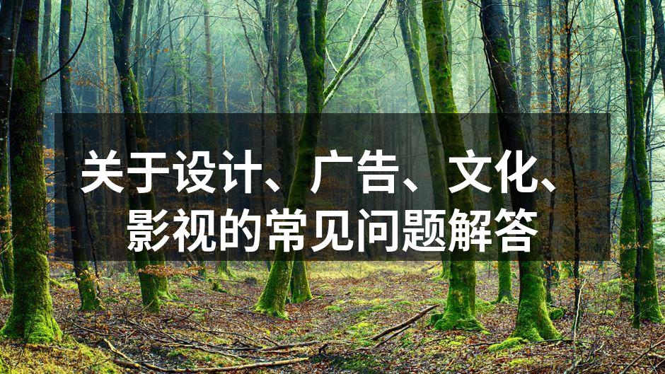 设计行业的多样性与创意